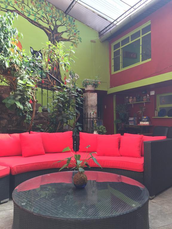Blacky Hostel And Apartments (Adults Only) Cusco Dış mekan fotoğraf