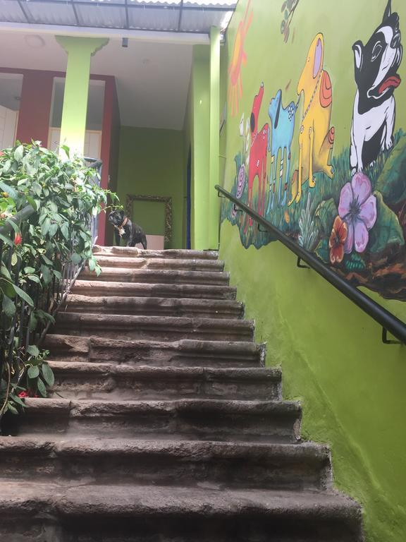 Blacky Hostel And Apartments (Adults Only) Cusco Dış mekan fotoğraf