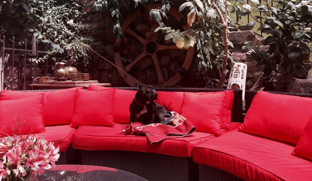 Blacky Hostel And Apartments (Adults Only) Cusco Dış mekan fotoğraf